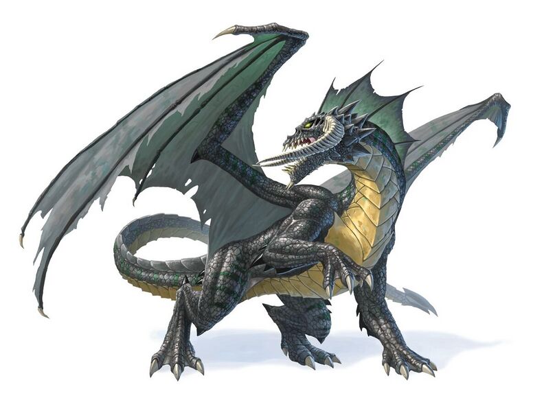 File:1164px-Black dragon 5e.jpg