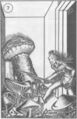 Thumbnail for version as of 17:59, 21 January 2025
