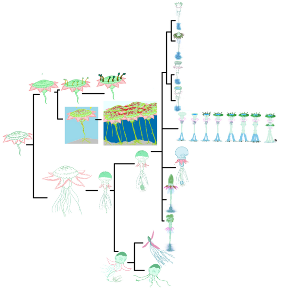 File:1173px-Lub.png