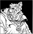 Thumbnail for version as of 19:51, 21 January 2025
