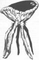Thumbnail for version as of 19:07, 21 January 2025