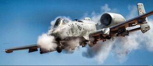 1199px-A-10 irl.jpg