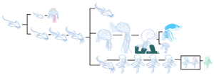 1199px-Dahonchart.png