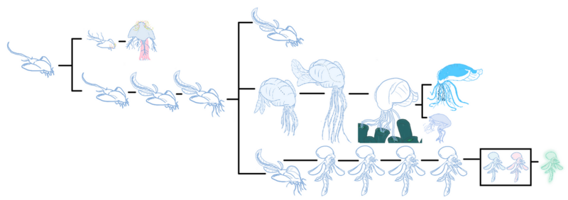File:1199px-Dahonchart.png