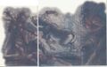 Thumbnail for version as of 19:30, 21 January 2025