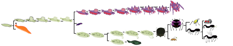 File:1199px-Ocean SmallChart Sluck.png