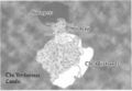 Thumbnail for version as of 17:27, 21 January 2025
