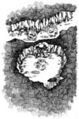 Thumbnail for version as of 17:57, 21 January 2025