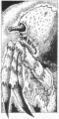 Thumbnail for version as of 17:16, 21 January 2025