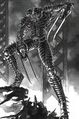 Thumbnail for version as of 18:40, 21 January 2025