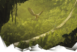 1200px-14-001.grassroads.png