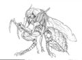 Thumbnail for version as of 17:19, 21 January 2025