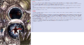 Thumbnail for version as of 20:11, 21 January 2025