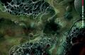 Thumbnail for version as of 19:23, 21 January 2025