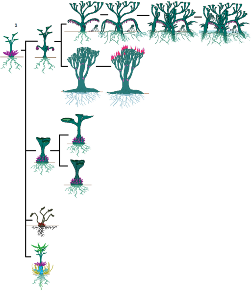 File:1200px-Azrach.png