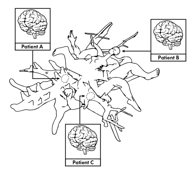 File:1200px-BiologicalAmalgamation.png