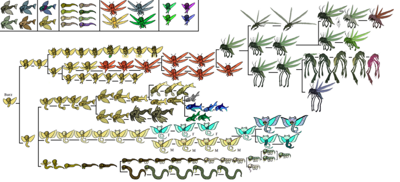 File:1200px-Burzchart.png