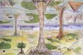 Thumbnail for version as of 17:19, 21 January 2025
