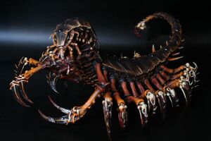 1200px-Catachan Devil.jpg