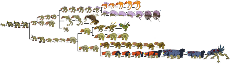 File:1200px-Cavebordchart.png