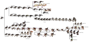 1200px-Desert SmallChart Burrog.png