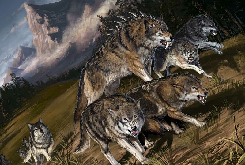 File:1200px-Dire wolf Darkmoon Vale.jpg