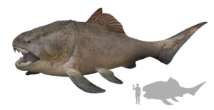 1200px-Dunkleosteus.png