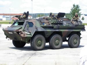 1200px-FUCHS IRL.jpg