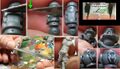 Thumbnail for version as of 20:05, 21 January 2025