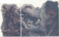 Thumbnail for version as of 19:30, 21 January 2025