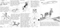 Thumbnail for version as of 18:49, 21 January 2025