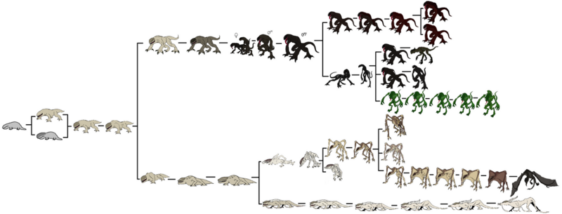 File:1200px-Geist chart.png