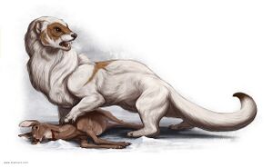 1200px-Giant weasel PF.jpg