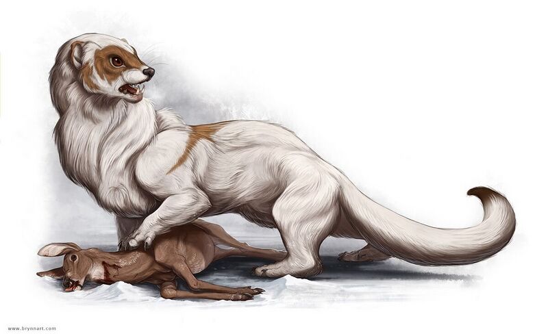 File:1200px-Giant weasel PF.jpg