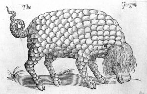 1200px-Gorgon topsell.jpg
