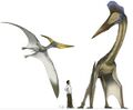 Thumbnail for version as of 18:03, 21 January 2025