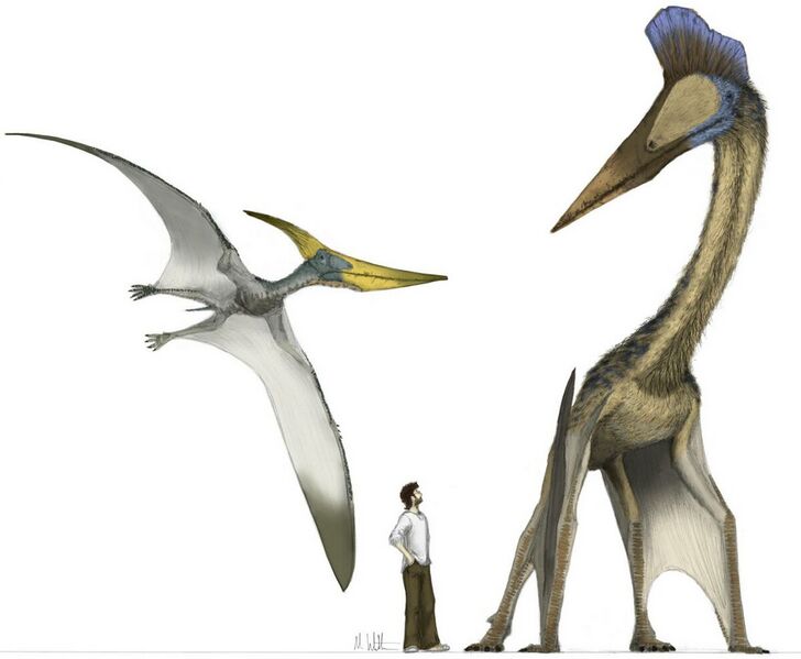 File:1200px-Hatzi.jpg