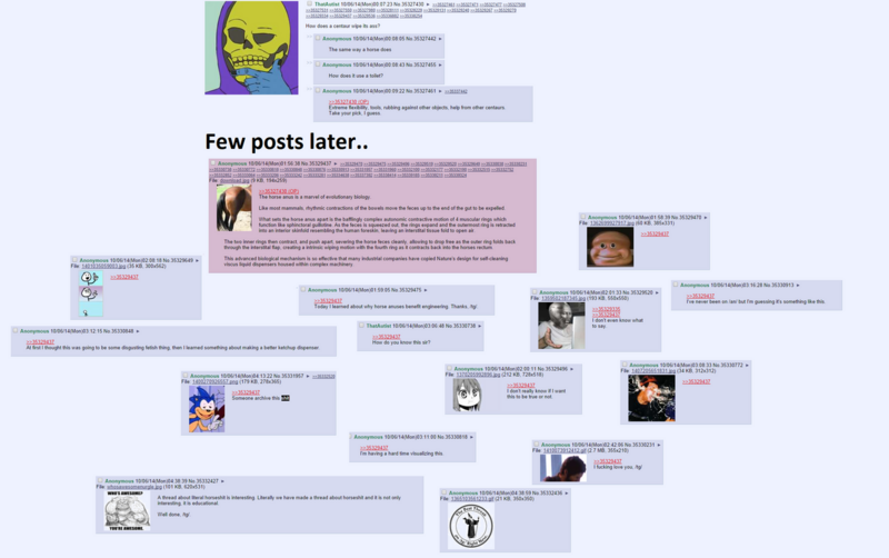 File:1200px-Horse Ass.png