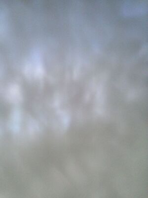 1200px-Image.jpeg