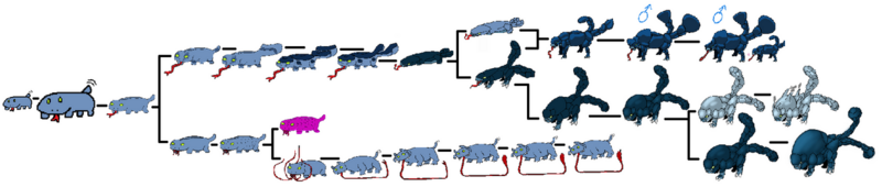 File:1200px-Inoglundchart.png