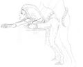 Thumbnail for version as of 18:02, 21 January 2025