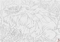 Thumbnail for version as of 19:00, 21 January 2025
