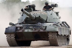 1200px-Leopard-1 IRL.jpg
