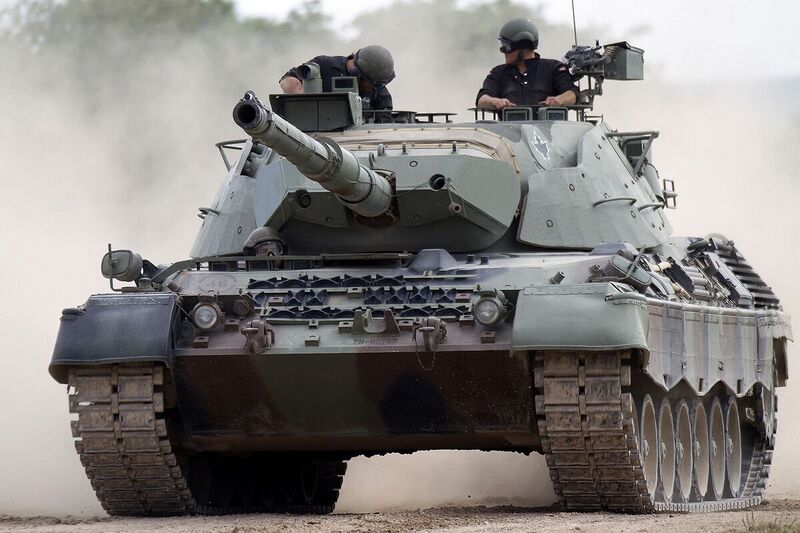 File:1200px-Leopard-1 IRL.jpg