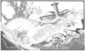 Thumbnail for version as of 18:01, 21 January 2025