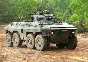 1200px-Luchs IRL.jpg