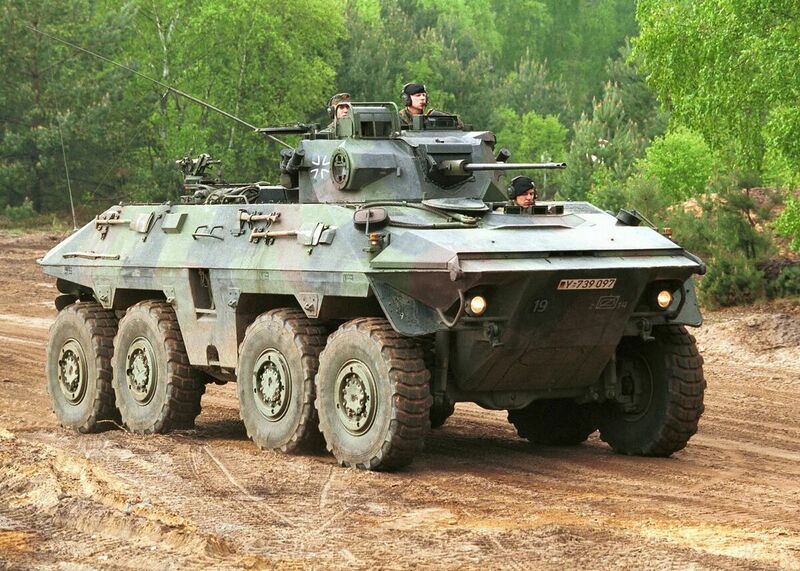 File:1200px-Luchs IRL.jpg