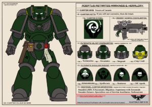 1200px-MH Swarm template reduced.png