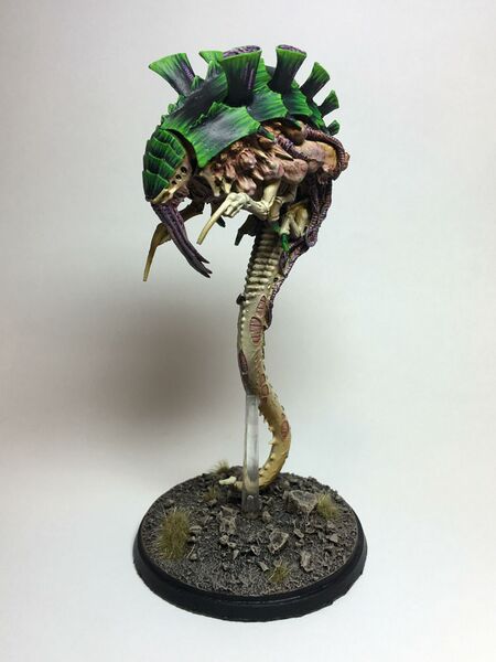 File:1200px-Malannthrope.jpeg