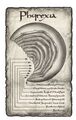 Thumbnail for version as of 19:09, 21 January 2025